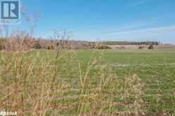 7468 25TH SIDEROAD Side Road | Adjala-Tosorontio Ontario | Slide Image Twenty-eight