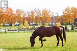 LOT 39 FRIESIAN Court | Oro-Medonte Ontario | Slide Image Twelve