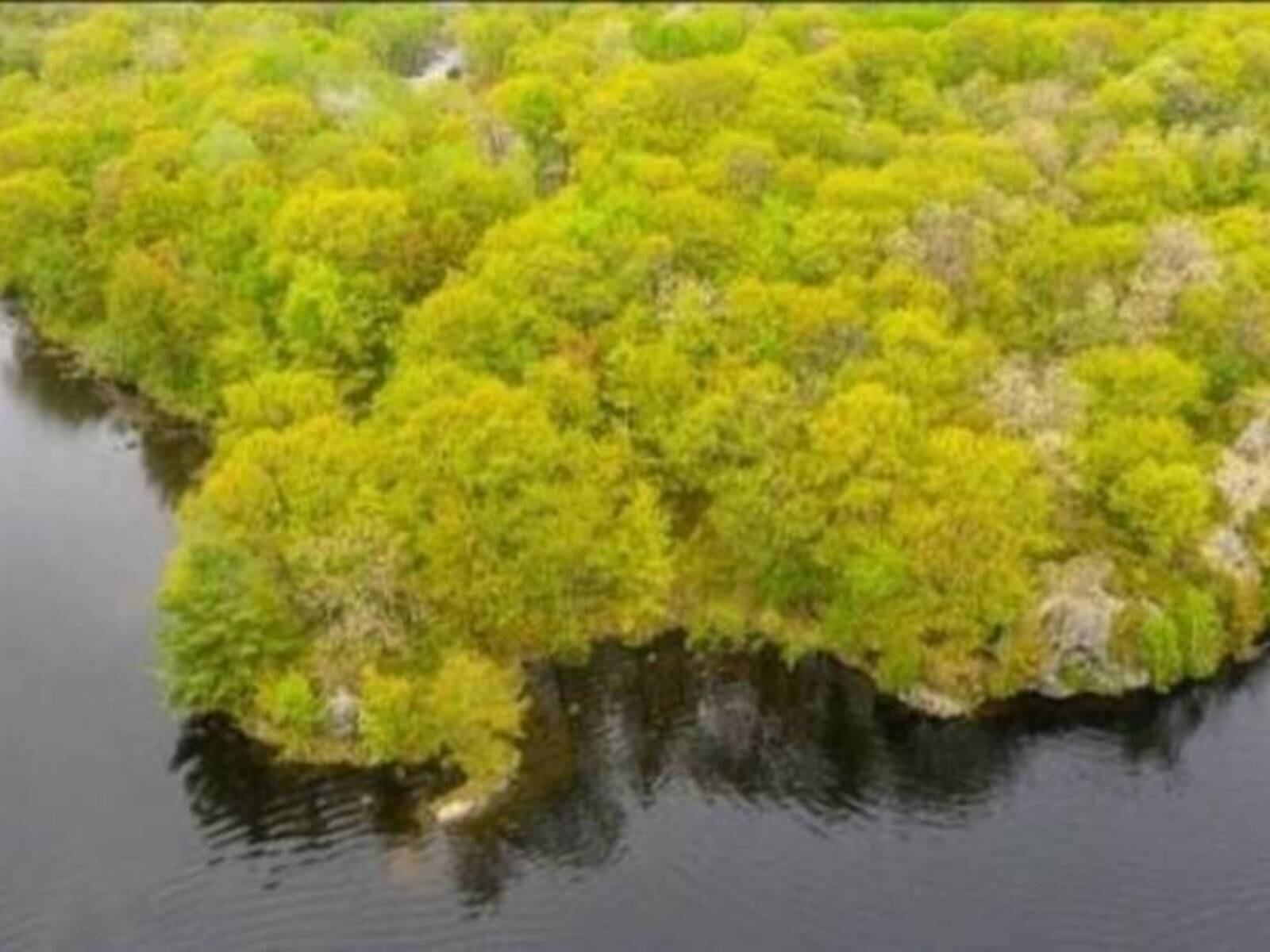 3600 NARROWS Road Unit# Lot 12, Port Severn, Ontario L0K 1E0