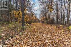 5909 EBENEZER SIDEROAD | Wyebridge Ontario | Slide Image Seventeen