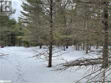 N/A HADLINGTON Road Unit# Lot 3 | Highlands East Ontario | Slide Image One