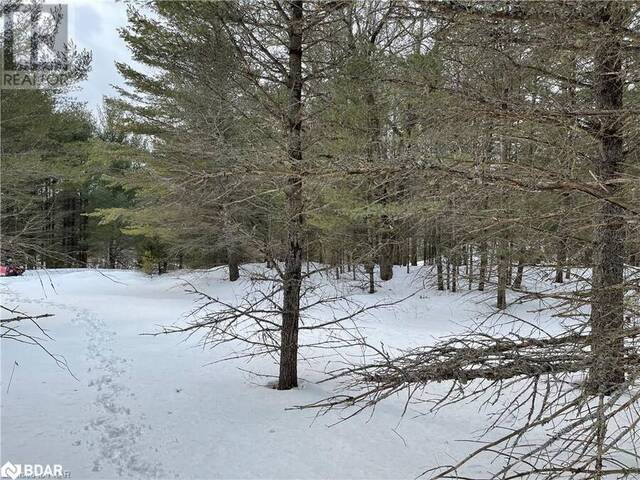 N/A HADLINGTON Road Unit# Lot 3 Highlands East Ontario, K0L 2Y0 - Vacant Land For Sale