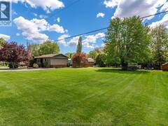 7 Taylor STREET Chatham-Kent Ontario, N0P 1L0