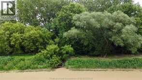 0 RIVER LINE | Chatham Ontario | Slide Image Five