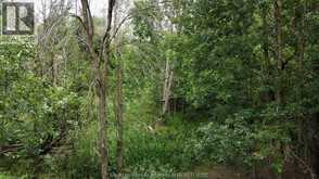 0 RIVER LINE | Chatham Ontario | Slide Image Nine