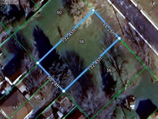58 Albert AVENUE Chatham-Kent Ontario, N0P 1C0 - Vacant Land For Sale