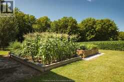 29712 ESTERVILLE ROAD | Chatham-Kent Ontario | Slide Image Eight