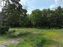 12533 River LINE | Chatham-Kent Ontario | Slide Image Ten