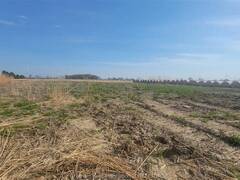 V/L Mersea RD 10 ROAD Blytheswood Ontario, N0P 2P0