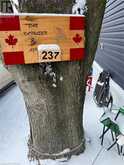99 FOURTH CONCESSION Road Unit# 237 | Cathcart Ontario | Slide Image Nine