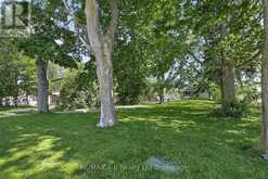 305 HALL STREET | Ingersoll Ontario | Slide Image Three