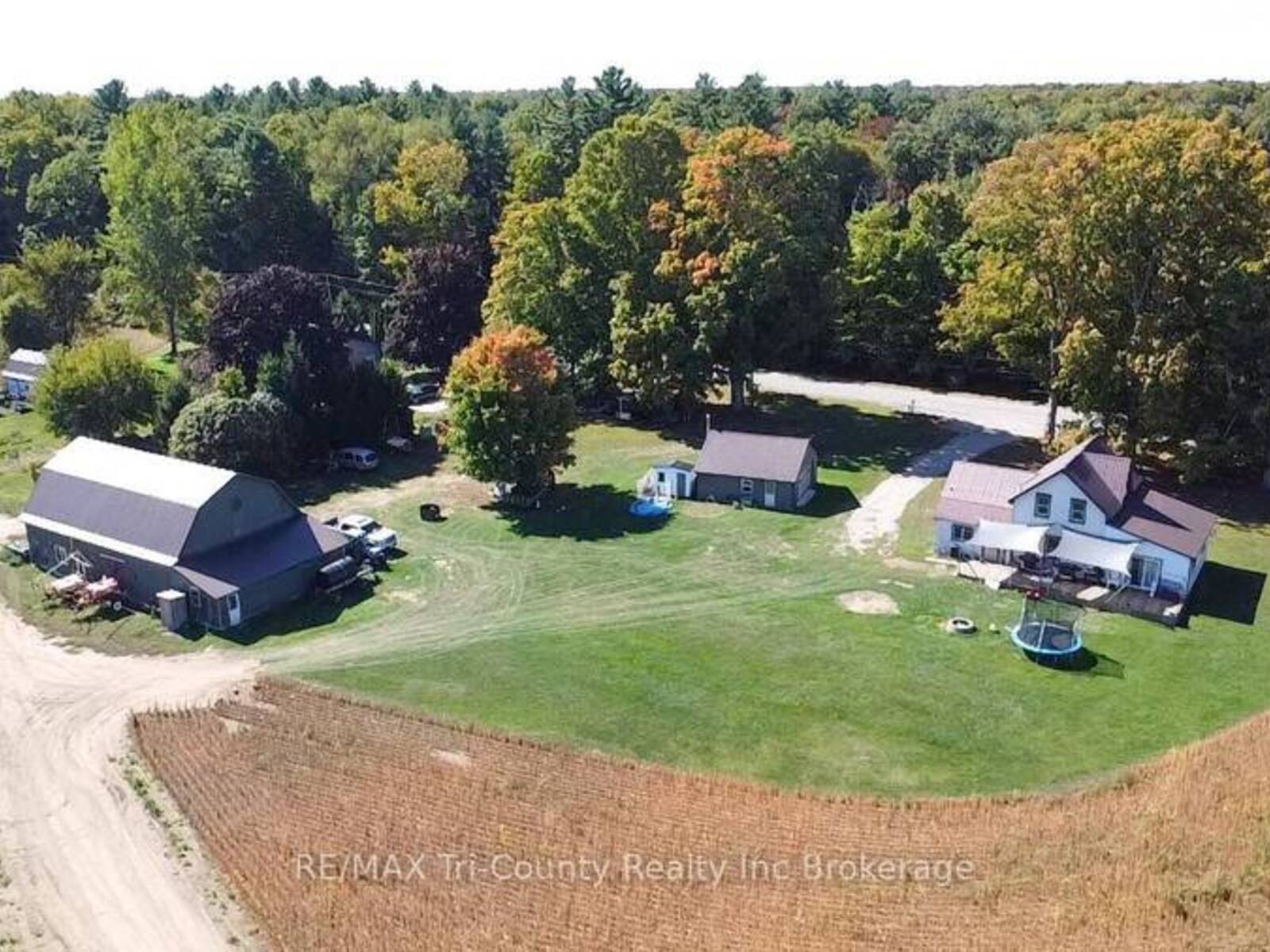 1225 1ST CONCESSION ENR ROAD, Langton, Ontario N0E 1G0