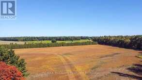 1225 1ST CONCESSION ENR ROAD | Langton Ontario | Slide Image Three
