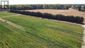 1225 1ST CONCESSION ENR ROAD | Langton Ontario | Slide Image Four