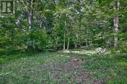 54427 TALBOT LINE | Straffordville Ontario | Slide Image Thirty-eight
