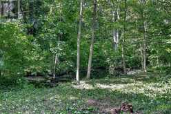 54427 TALBOT LINE | Straffordville Ontario | Slide Image Thirty-nine