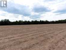 PT. LOT # 1 WINDHAM WEST QUARTER LINE ROAD | La Salette Ontario | Slide Image Fifteen