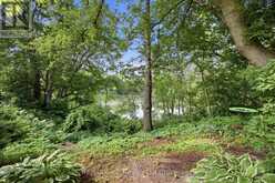 88 HILLSIDE AVENUE | Delhi Ontario | Slide Image Nine