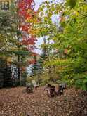 64 BENTLEY LAKE LOOP | Bancroft Ontario | Slide Image Nineteen