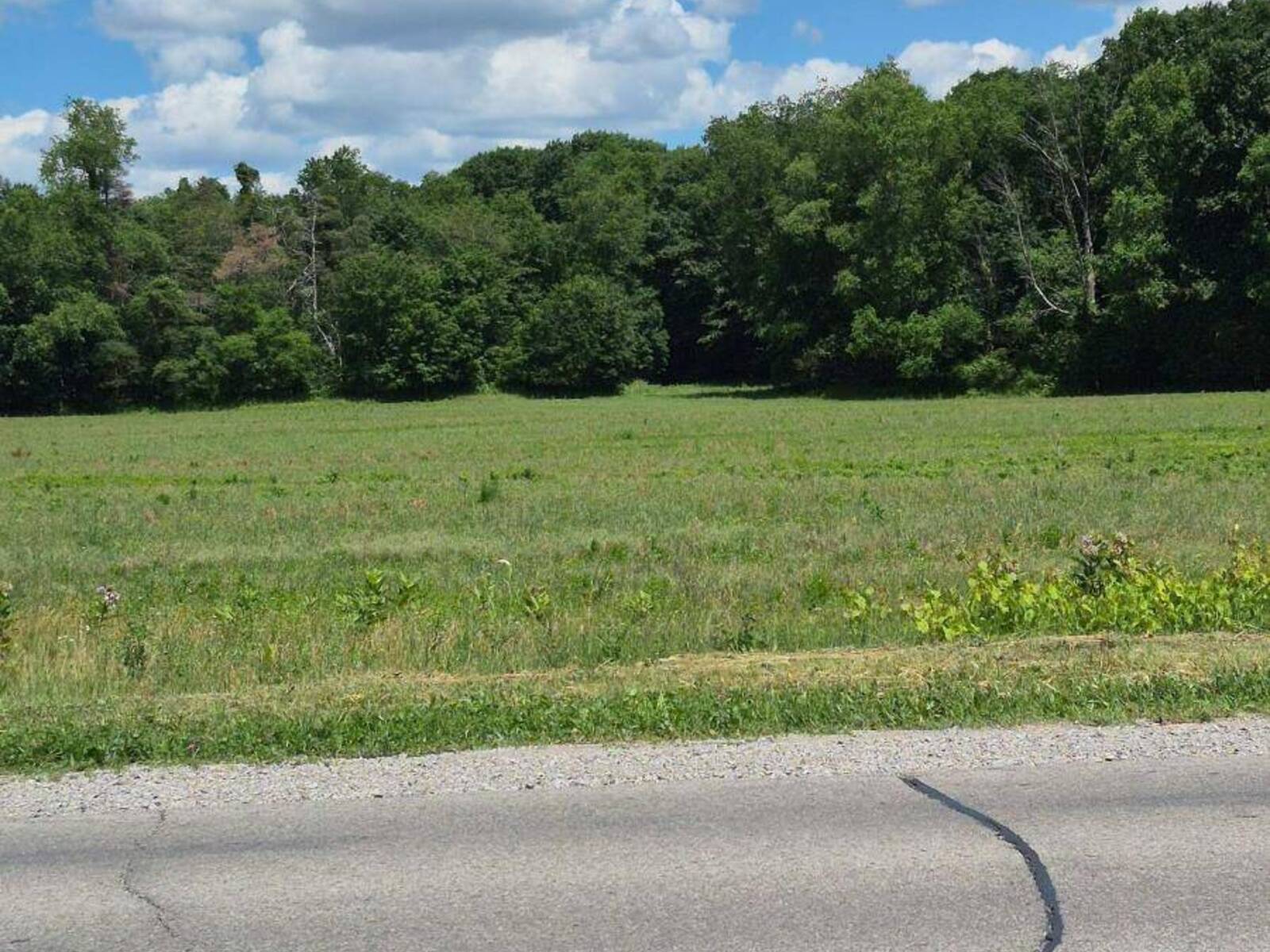 0 #59 HIGHWAY, Courtland, Ontario N0J 1E0