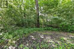 785729 OXFORD ROAD 33 ROAD | Innerkip Ontario | Slide Image Thirty