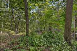 39 CLEAR VALLEY DRIVE | Tillsonburg Ontario | Slide Image Forty-eight