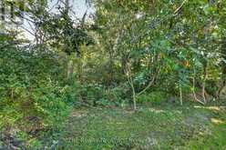 35 BEECH BOULEVARD | Tillsonburg Ontario | Slide Image Thirty-six