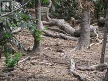 V/L MIDDLE SISTER ISLAND | Pelee Island Ontario | Slide Image Eight