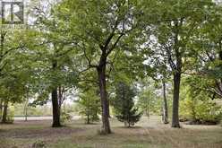 761 East West ROAD | Pelee Island Ontario | Slide Image Four