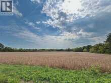 761 East West ROAD | Pelee Island Ontario | Slide Image Five