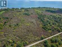 V/L COOPER ROAD | Pelee Island Ontario | Slide Image Eight