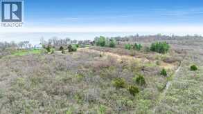 V/L Coopers ROAD | Pelee Island Ontario | Slide Image Nine