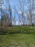 V/L OLD VINE ROAD | Pelee Island Ontario | Slide Image One