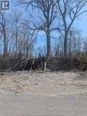 V/L OLD VINE ROAD | Pelee Island Ontario | Slide Image Three