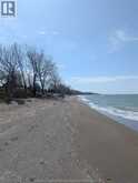 V/L OLD VINE ROAD | Pelee Island Ontario | Slide Image Four