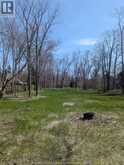 V/L OLD VINE ROAD | Pelee Island Ontario | Slide Image Two