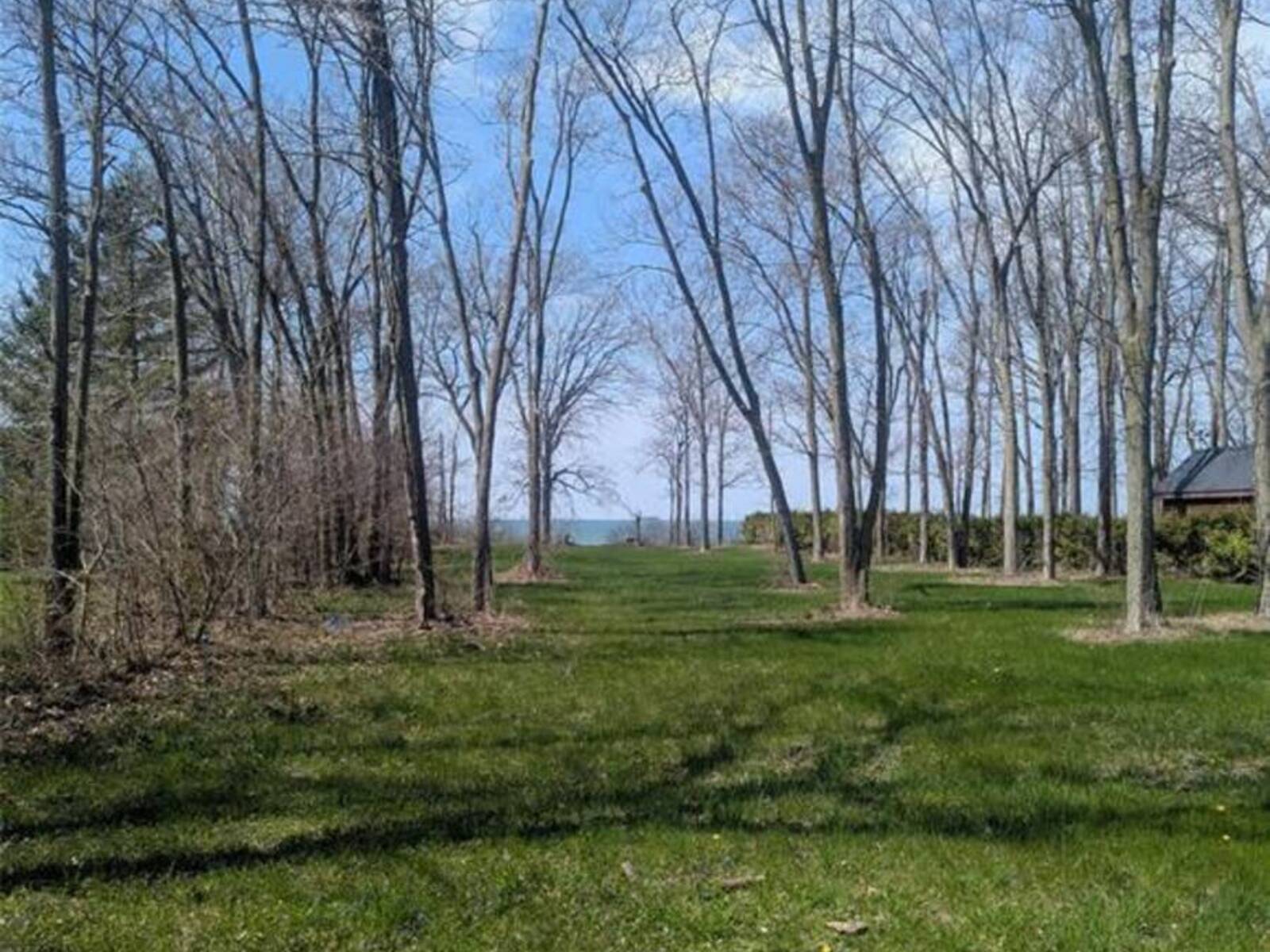 V/L OLD VINE ROAD, Pelee Island, Ontario N0R 1M0
