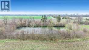 119 Victoria | Pelee Island Ontario | Slide Image Twelve