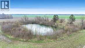 119 Victoria | Pelee Island Ontario | Slide Image Thirteen