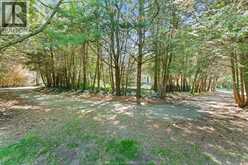 930 Road 4 E (Cty Rd 18) | Kingsville Ontario | Slide Image Thirty-eight
