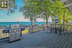 262 COTTERIE PARK | Leamington Ontario | Slide Image Thirty-two