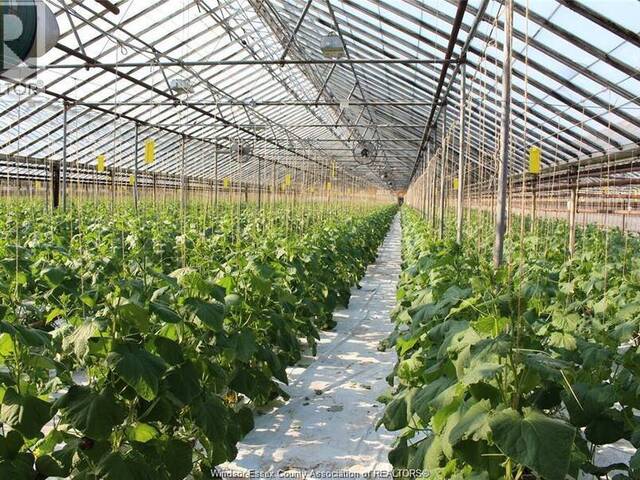 725 Mersea Rd 6 East Leamington Ontario, N8H 3V8 - Farm For Sale