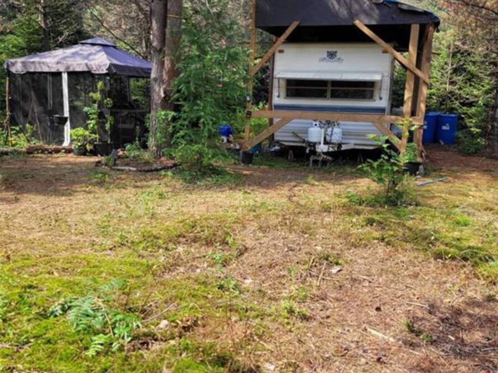984 FOURTH AVENUE, Utterson, Ontario P0B 1M0