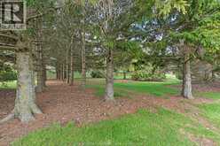 24122 POPPE ROAD | Tilbury Ontario | Slide Image Forty
