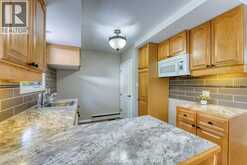 68 MCCALLUM | Kingsville Ontario | Slide Image Seventeen