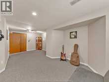 130 Pheasant Run DRIVE | Belle River Ontario | Slide Image Thirty-eight