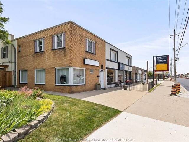 4165 TECUMSEH ROAD East Windsor Ontario, N8W 1J9 - Multi-family Home For Sale