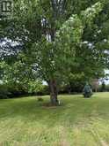 949 East West Rd | Pelee Island Ontario | Slide Image Forty
