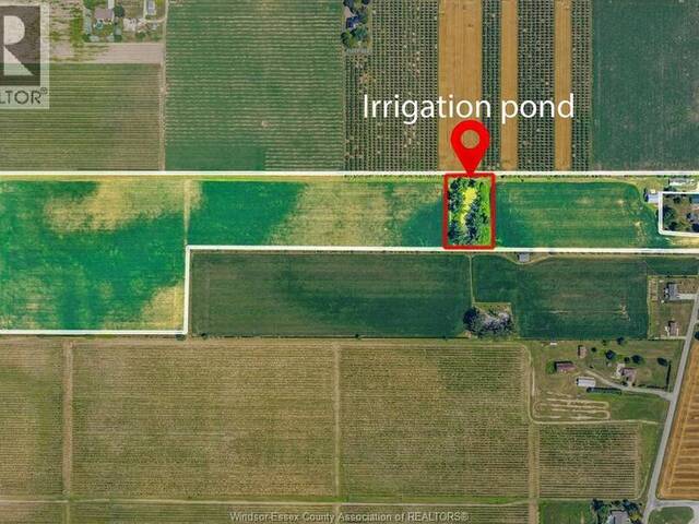 1598 GORE Harrow Ontario, N0R 1G0 - Farm For Sale