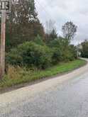 V/L BRUSH SIDE ROAD | Essex Ontario | Slide Image Three